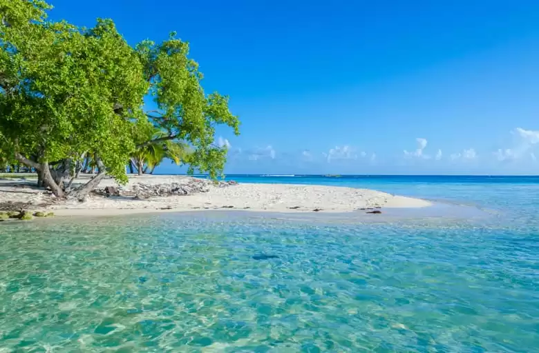 Bimini